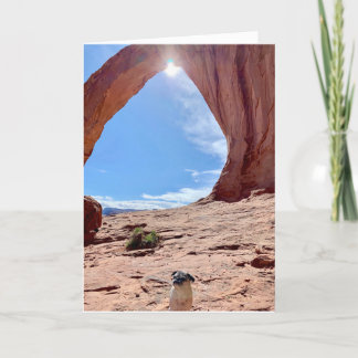 Tarjeta de perro de graduación feliz | Lily the Pu