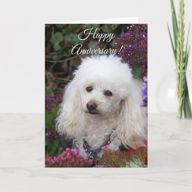Tarjeta de perro de poodle Happy Aniversario (Anverso)
