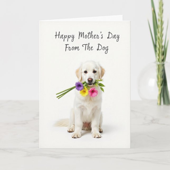 Tarjeta de Perro de Ramo Blanco (Anverso)