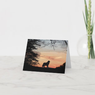 Tarjeta de perro de Terranova