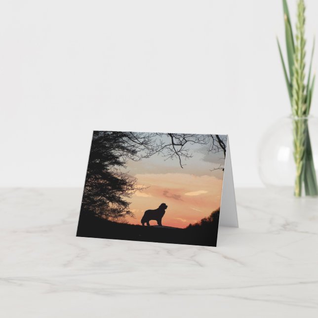 Tarjeta de perro de Terranova (Anverso)