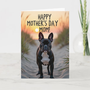 Tarjeta de Perro del Camino de las Dunas del Atard