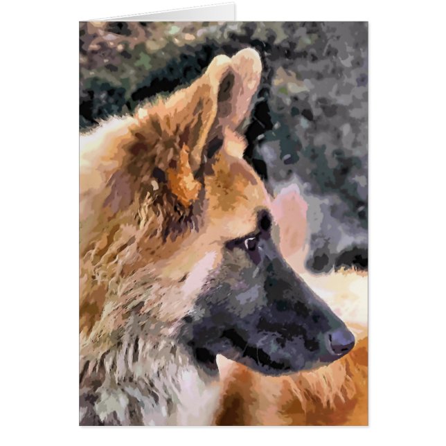 Tarjeta de PERRO GERMAN SHEPHERD (Frente)