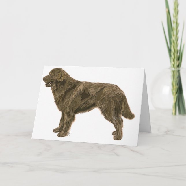 Tarjeta de perro marrón de Terranova (Anverso)
