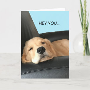 Tarjeta de Perro Mascota Golden Retriever Pensando