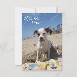 Tarjeta de perro que te falta