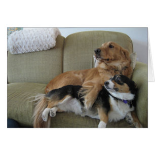 Tarjeta de perro retriever dorado y Corgi abrazand