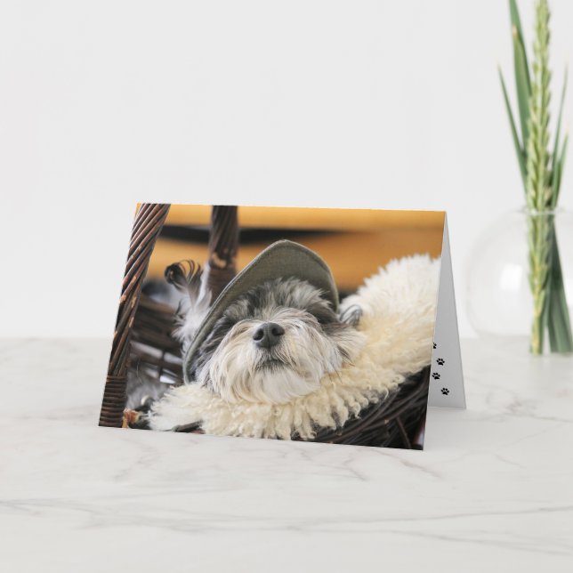 Tarjeta de perro Shih Tzu lindo (Anverso)