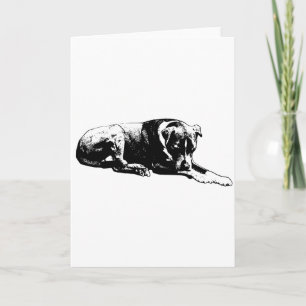 Tarjeta de perro transparente