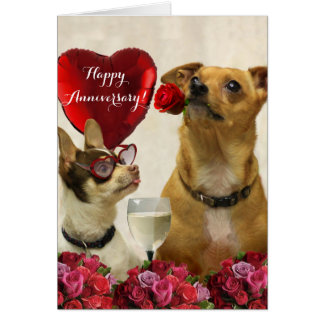 Tarjeta de perros chihuahua feliz aniversario