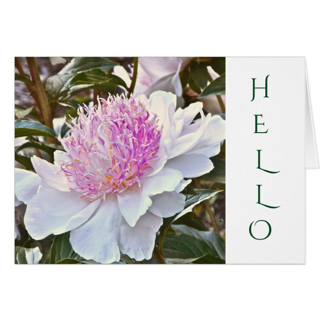 TARJETA DE personalizable /BLANCO Y ROSA/HOLA (Anverso (Horizontal))