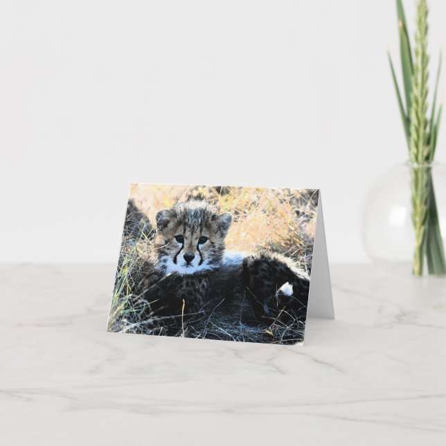 Tarjeta de personalizable Cheetah cub (Anverso)
