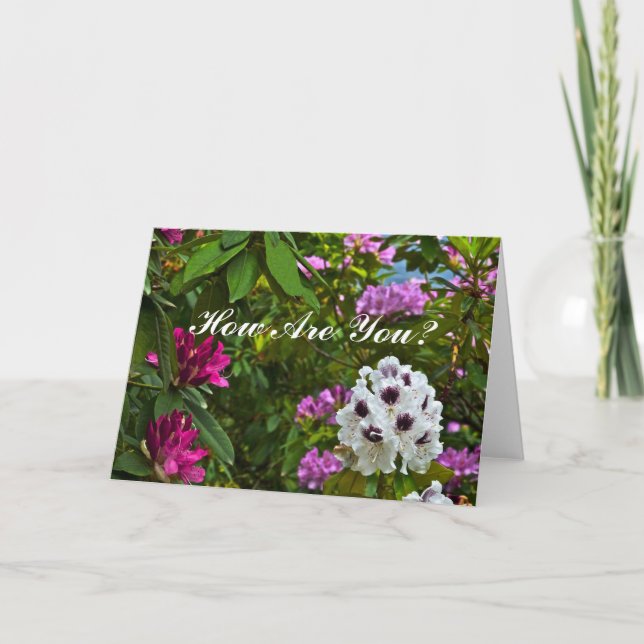 TARJETA DE personalizable, "¿CÓMO ESTÁS?"/RHODODEN (Anverso)