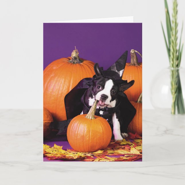 Tarjeta de personalizable Halloween de la calabaza (Anverso)