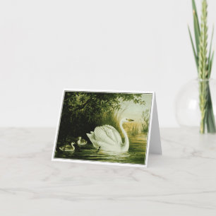 Tarjeta de Personalizar Whooper Swan