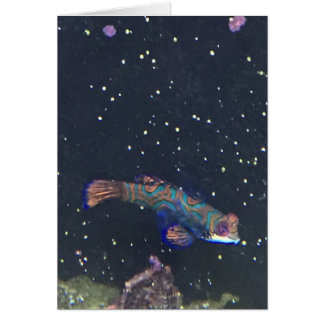 Tarjeta de pescado exótico poco frecuente