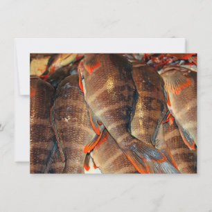 Tarjeta de pescado fresco