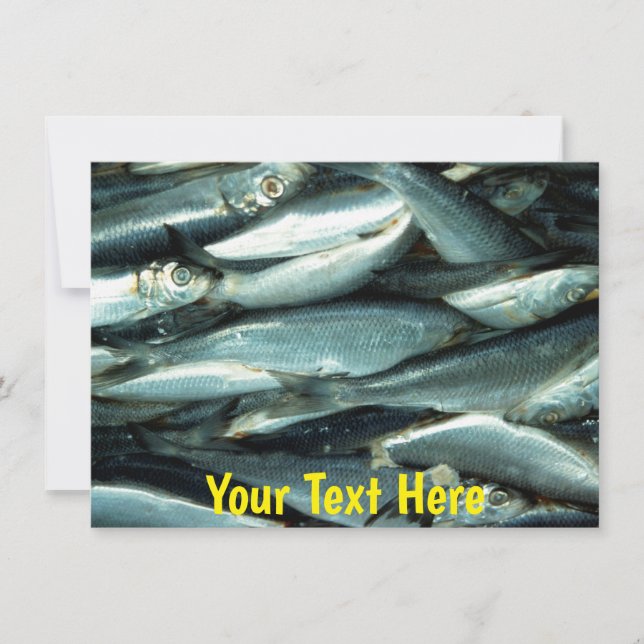 Tarjeta de pescado personalizable (Anverso)