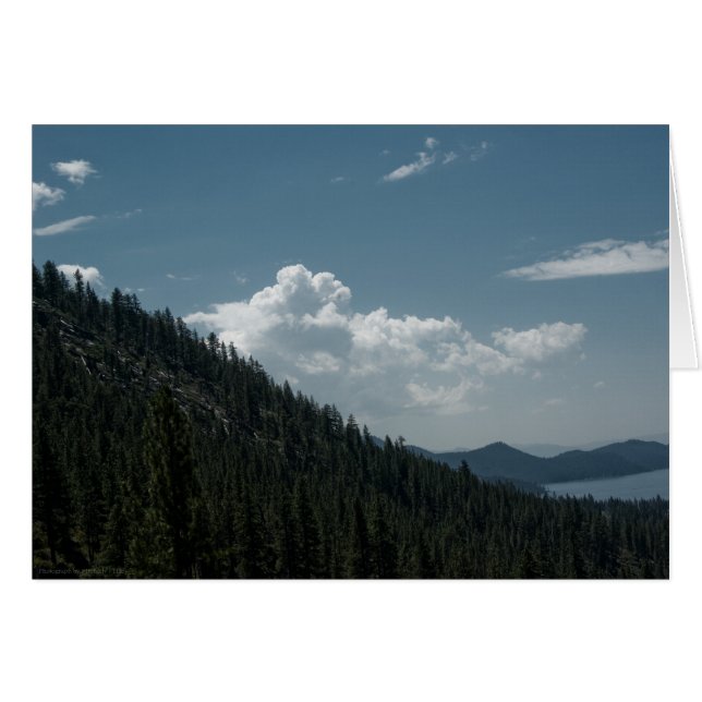 Tarjeta de pico (Anverso (Horizontal))