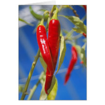 Tarjeta de pimientos rojos