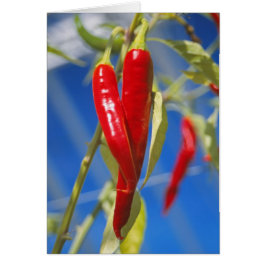 Tarjeta de pimientos rojos