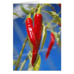 Tarjeta de pimientos rojos