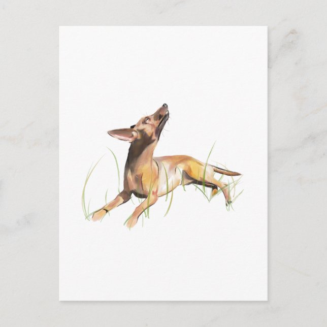 Tarjeta de Pinscher Miniatura, Personalizada (Anverso)