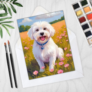 Tarjeta de pintura de perro maltés en campo de flo