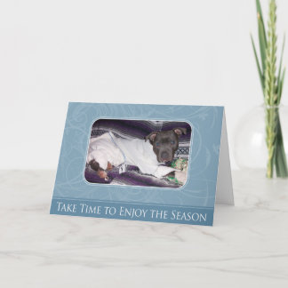 Tarjeta de Pitbull del día de fiesta