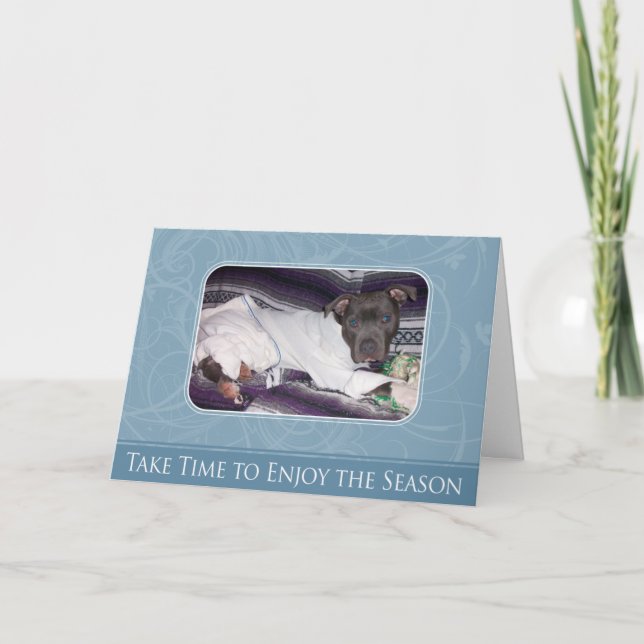 Tarjeta de Pitbull del día de fiesta (Anverso)