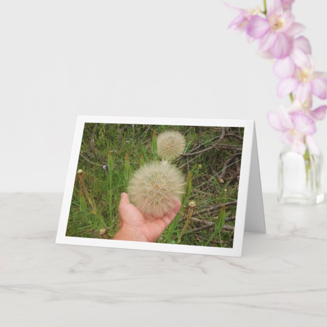 Tarjeta de Plantas Salsify Occidental (Orquídea)