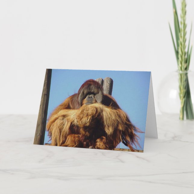 Tarjeta de plantilla Orangutan Happy Birday (Anverso)