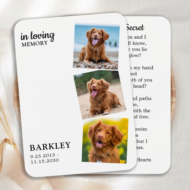 Tarjeta de plegaria Keepsake moderna de 3 Mascotas (Subido por el creador)