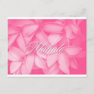 Tarjeta de plumeria rosa Mahalo