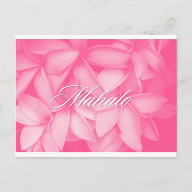 Tarjeta de plumeria rosa Mahalo (Anverso)