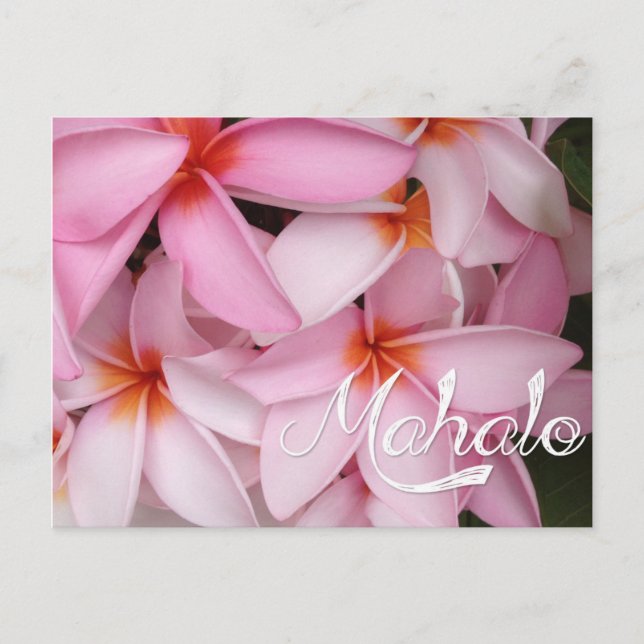 Tarjeta de plumeria rosa Mahalo (Anverso)