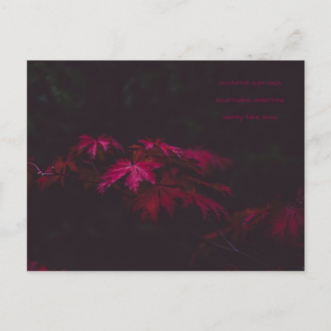 tarjeta de poesía (Anverso)