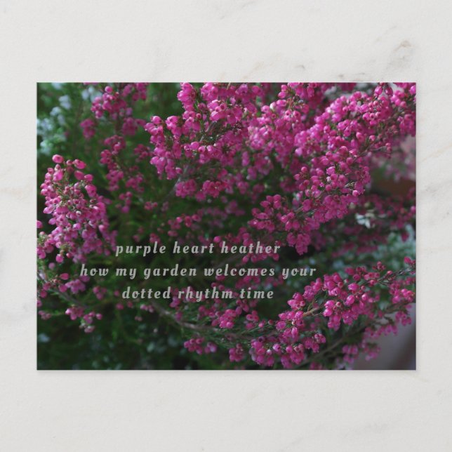 tarjeta de poesía (Anverso)