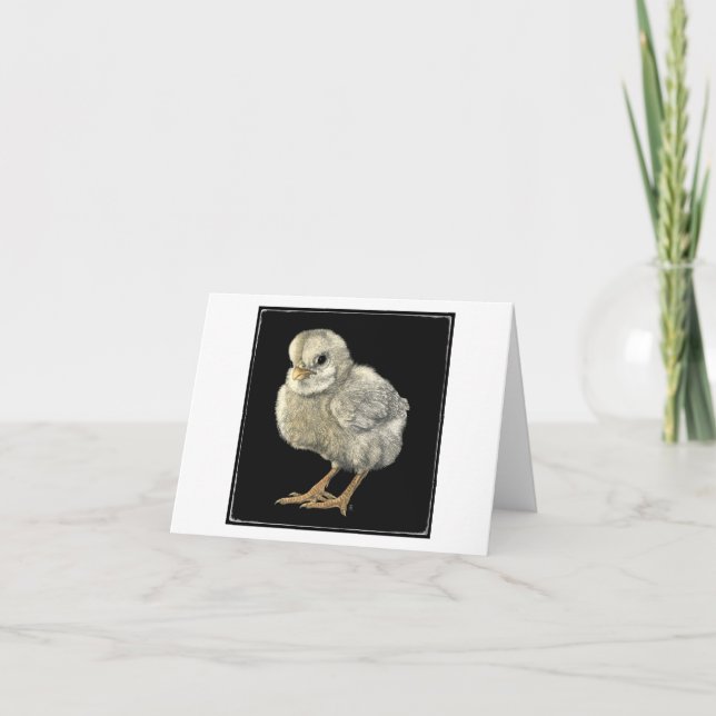 Tarjeta de "polluelo duro" (Anverso)