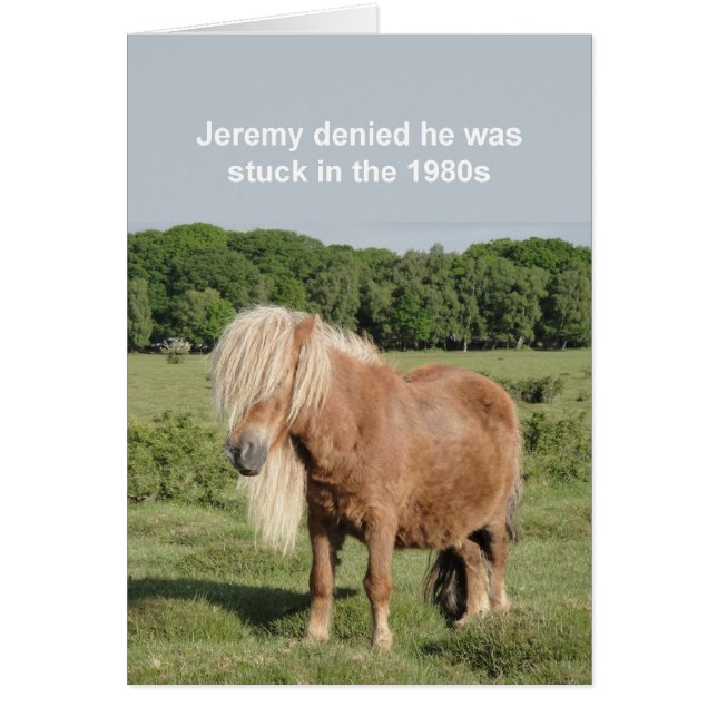 Tarjeta de poni de Shetland (Frente)