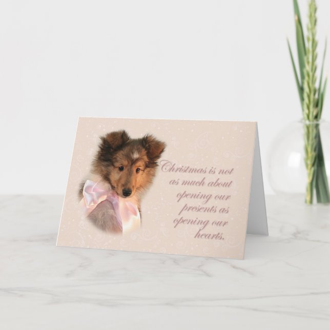 Tarjeta de porcino Sheltie Puppy navidades (Anverso)