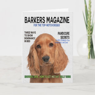 Tarjeta de portada de la revista Cocker Spaniel Pa