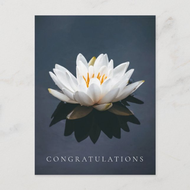 TARJETA DE POSTAL DE FELICITACIONES : LOTUS POSTCA (Anverso)