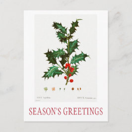 TARJETA DE POSTAL DE NAVIDADES DE SALUD DE TEMPORA