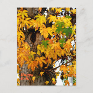 Tarjeta de postales de hojas de otoño y árbol