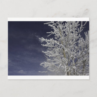 Tarjeta de poste de invierno