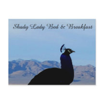 Tarjeta de postre Shady Lady Bed & Breakfast