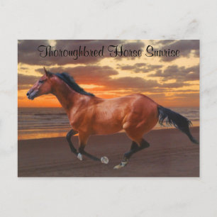 Tarjeta de postulación Ocean Thoroughbred Horse Su