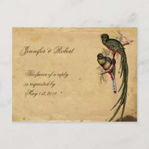 Tarjeta de postulación RSVP Elegante para Aves Que