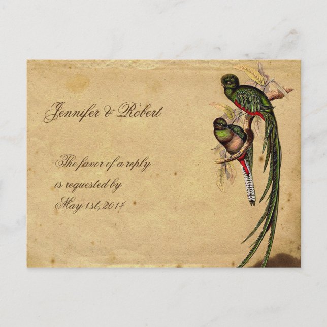 Tarjeta de postulación RSVP Elegante para Aves Que (Anverso)